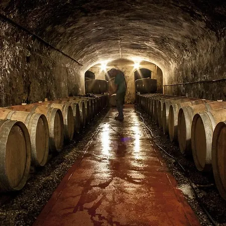 Tenuta Di Apartamento Ghizzano