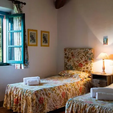 Tenuta Di Ghizzano