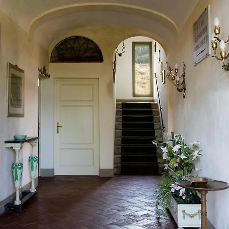 Tenuta Di Apartamento Ghizzano
