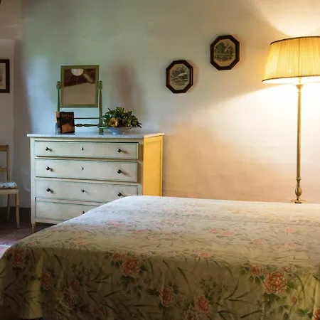 Tenuta Di * Ghizzano