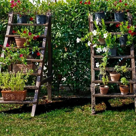 Tenuta Di Ghizzano