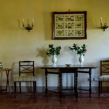 Tenuta Di Ghizzano